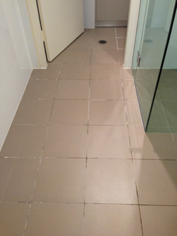 Floor Grout Before ReColouring